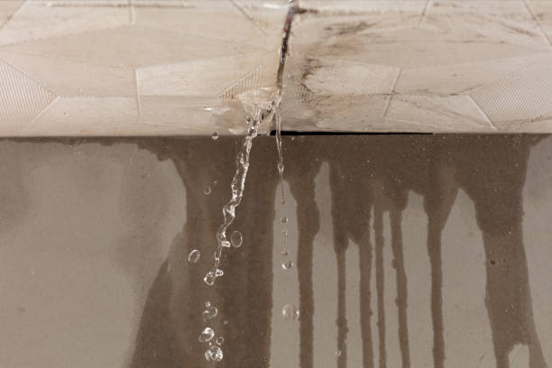 Professional Water Damage Repair technician working in Geneva, OH